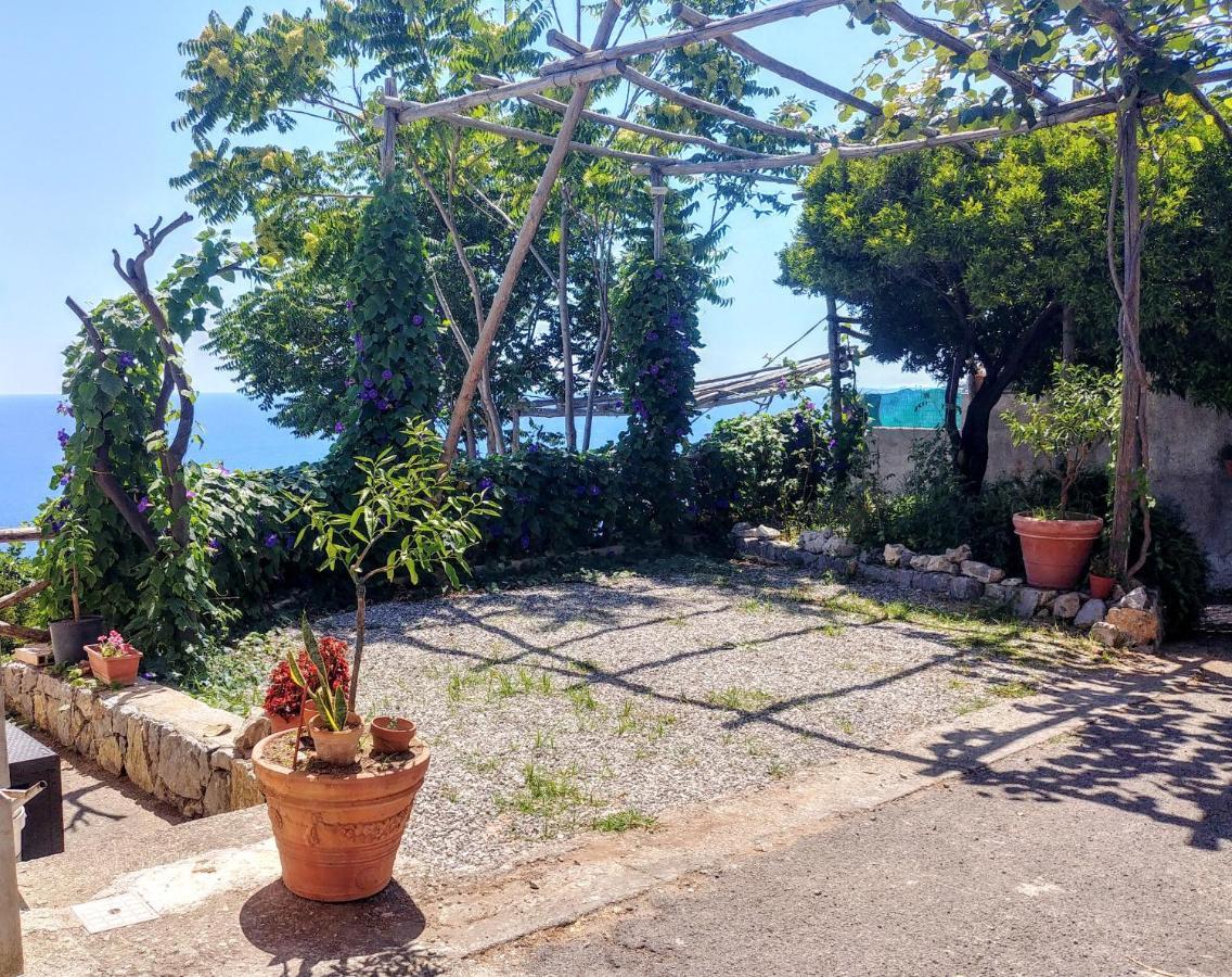 Appartamento Il Limoneto Furore Esterno foto